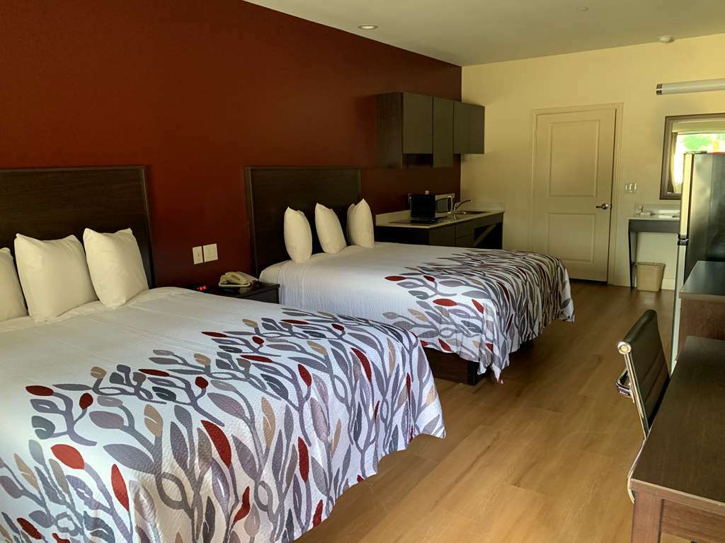 Red Roof Inn Houston - Willowbrook Louetta Zimmer foto